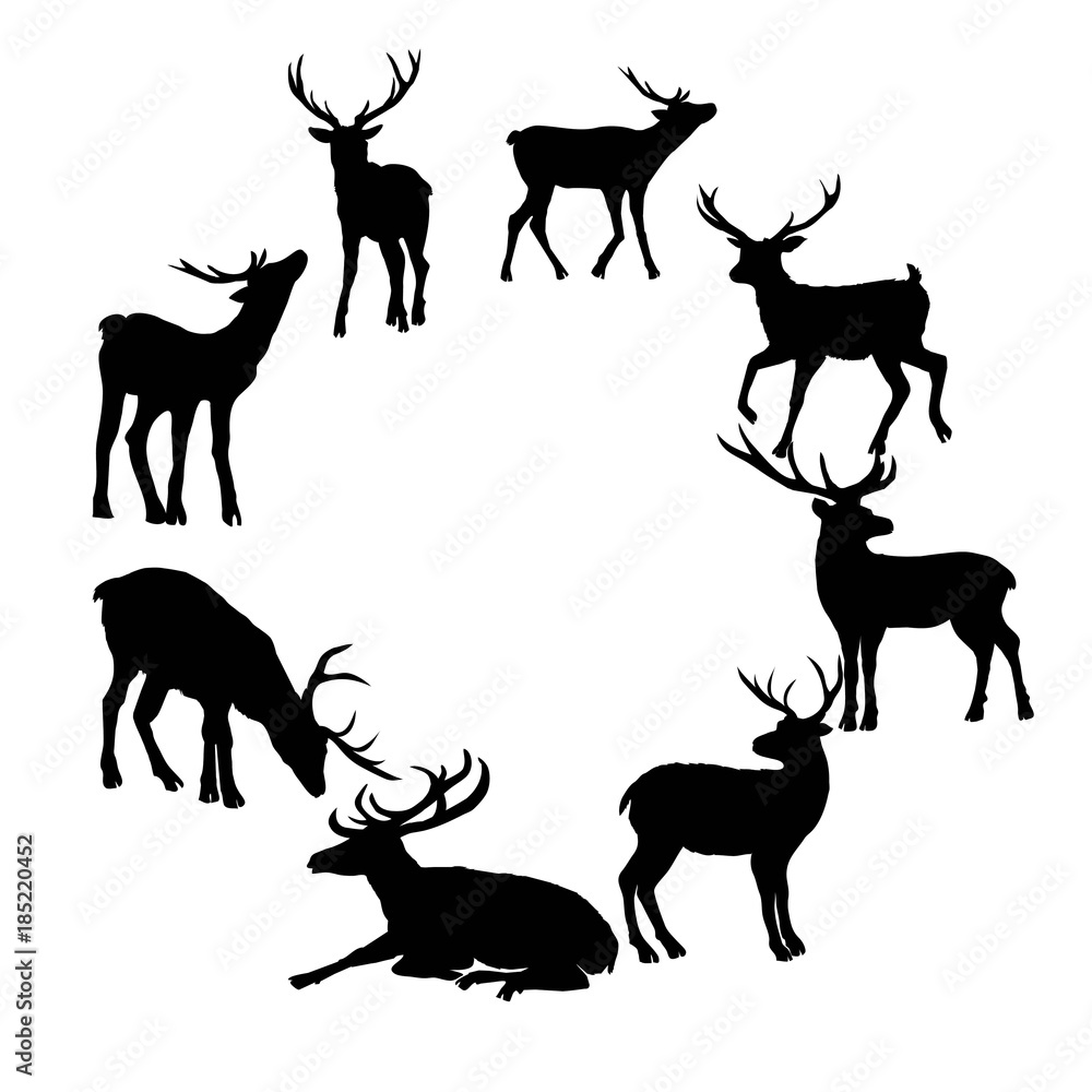 Deer silhouette isolated on white background. Vector illustration. Deer silhouette isolated on white background. Vector illustration.
