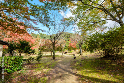 Tranquil autumn garden shady photo