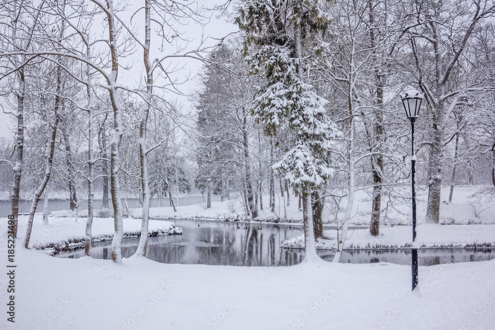 Fototapeta premium Парк во время снегопада, снежный парк