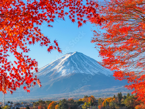 Fuji mountain with red maple leaf in foreground when autumn time in Japan. photo