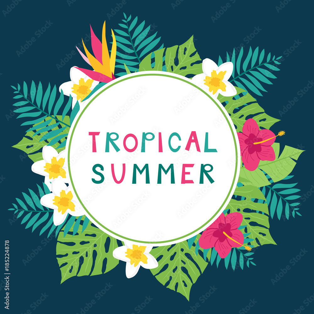Summer time tropic background