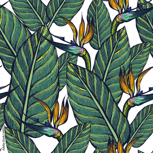 Seamless pattern of exotic plants. Strelitzia. Flowers and leaves. Background.