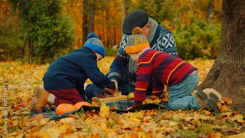 Little boys are playing chess with his grandfather in the autumn park under the big tree © perevalovalexey