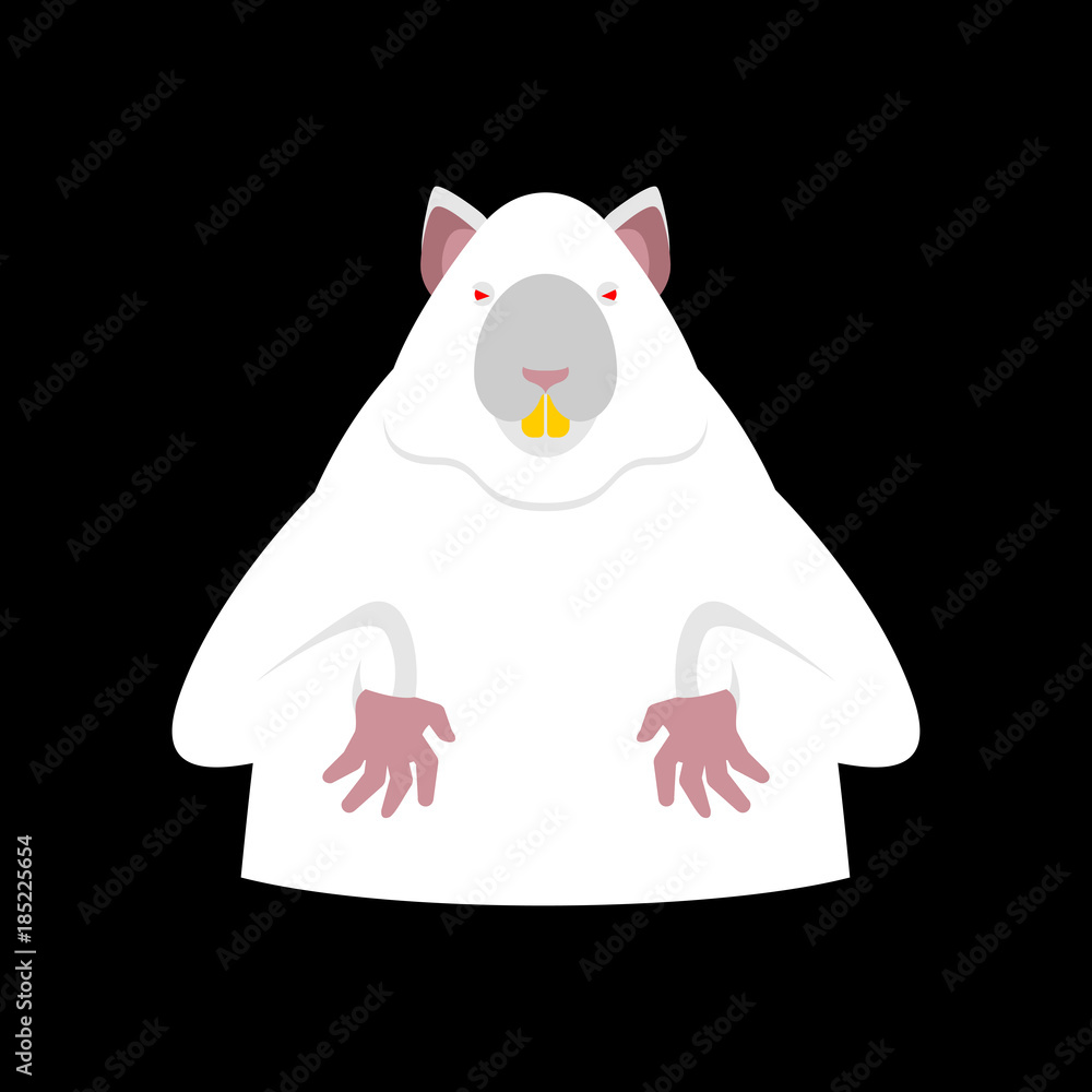 Fototapeta premium Laboratory mouse is white. Red eyes. Rat for experiments. Experimental rodent. Vector illustration