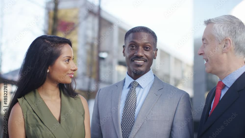 Portrait of diverse successful business professionals Portrait of diverse successful business professionals