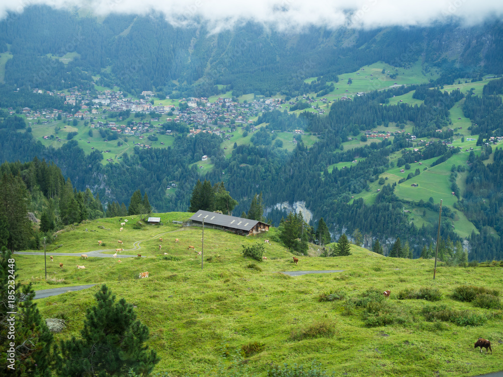 Fototapeta premium Barn on mountain in Interlaken, Switzerland