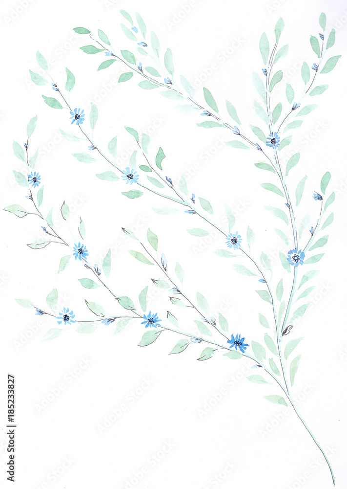 Branch with small leaves - watercolor. Decorative compositionon the background of watercolor. Floral motifs. Use printed materials, signs, items, websites, maps, posters, postcards, packaging.