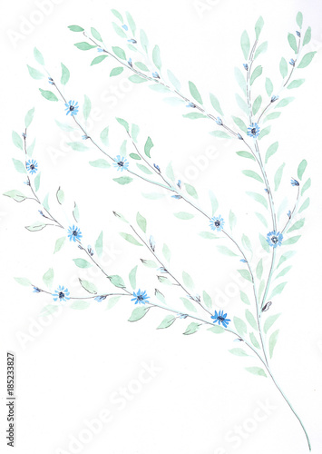 Branch with small leaves - watercolor. Decorative compositionon the background of watercolor. Floral motifs. Use printed materials, signs, items, websites, maps, posters, postcards, packaging. © gvinevera88