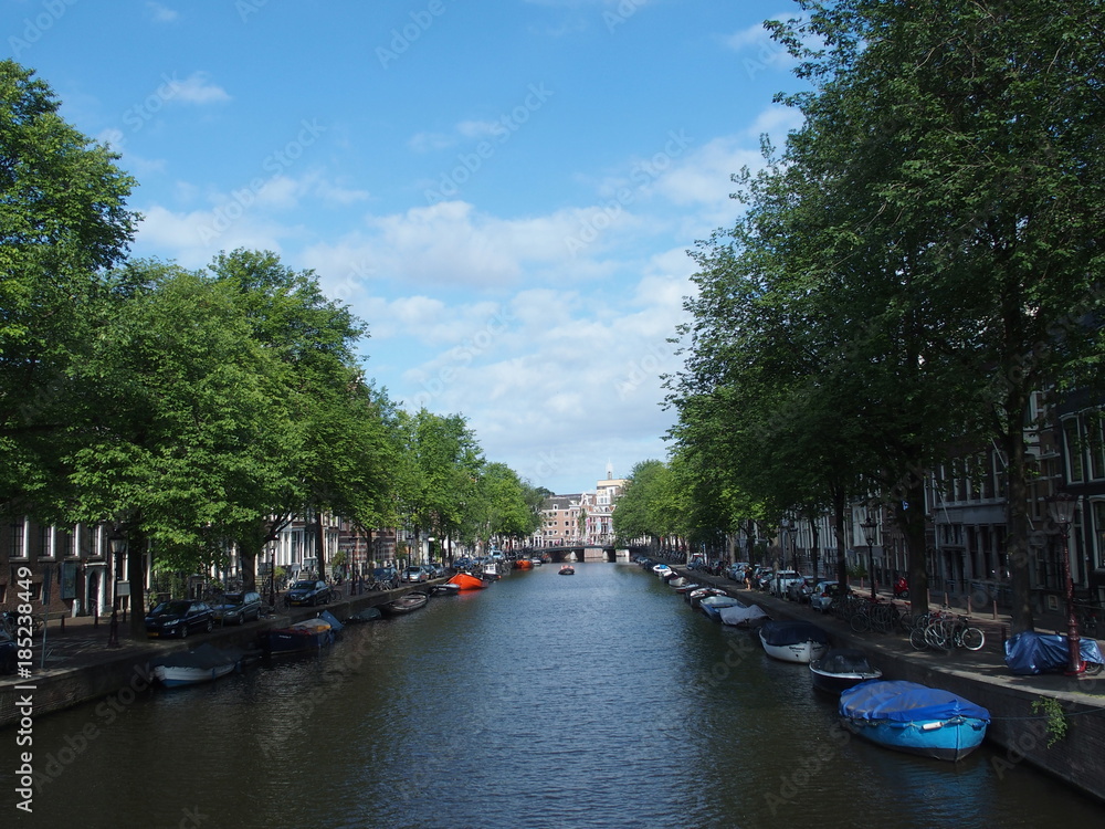 Boats in canal gracht in AMSTERDAM and tree rows sides in the morning at NETHERLANDS