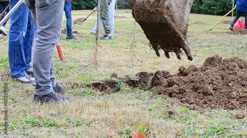 Gardening works to plant trees in a garden