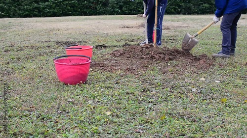 Gardening works to plant trees in a garden