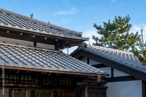 日本の古民家 青空と松の木１