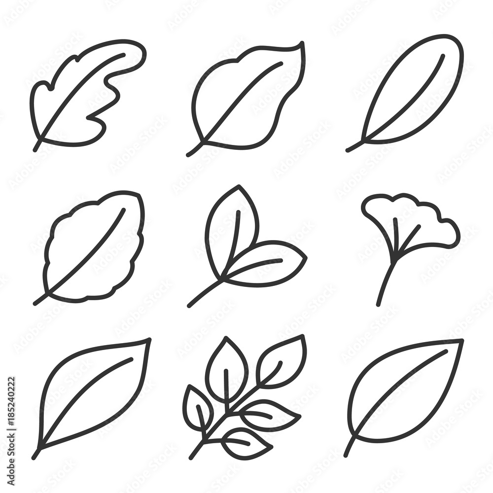 Leaves icon set. Collection of leaf logo design for green, eco, organic, food, beauty, health care and beauty. vector illustration . Leaves icon set. Collection of leaf logo design for green, eco, organic, food, beauty, health care and beauty. vector illustration .