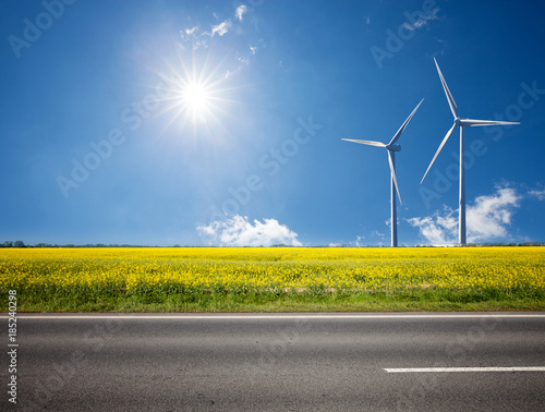 Asphalt road among the summer sunny field with wind power electricity turbines