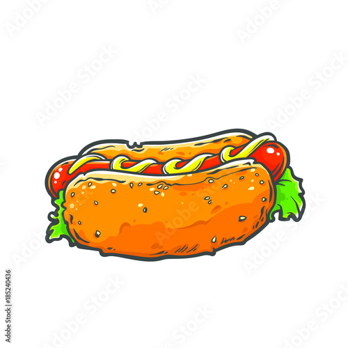 Sketch of hot dog with sausage and mustard sauce. Vector fast food hand drawn line art and cartoon illustration isolated on a white background. fresh sandwich with sauce and green salad