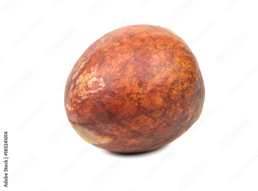 Fototapeta premium Seed of avocado