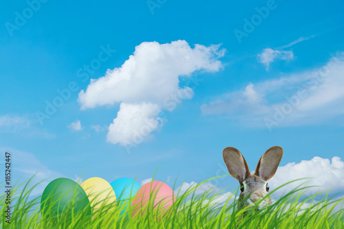 Ostern Ostereier Osterhase Wiese