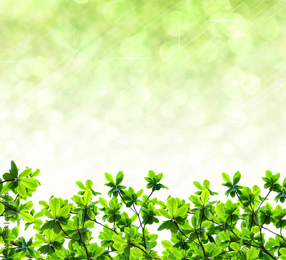 Green leaf on abstract bokeh background Green leaf on abstract bokeh background