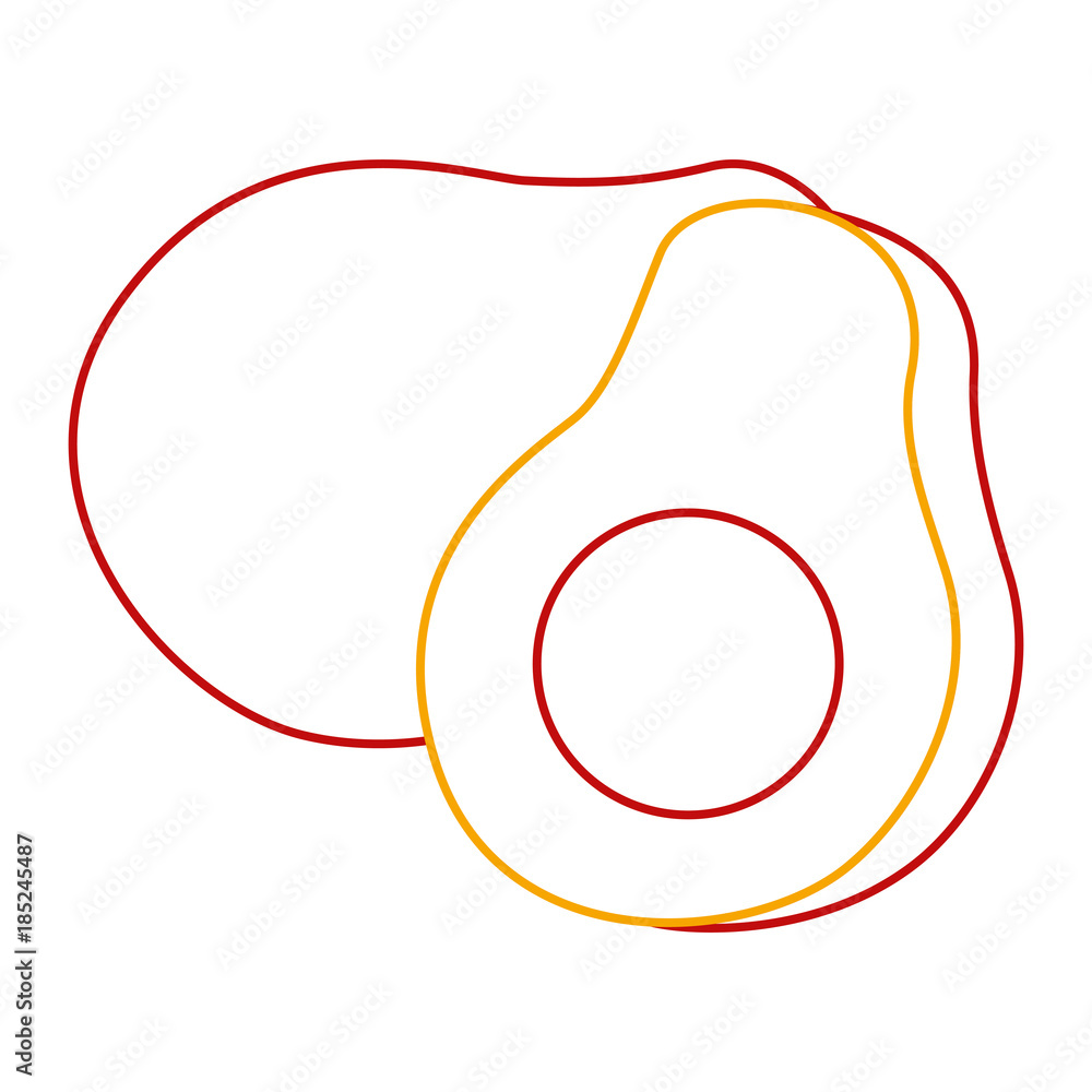 fresh avocado isolated icon vector illustration design