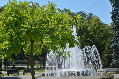 Public park with trees and fountain in summertime