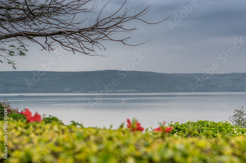 Quadro su tela Lake of Galilee behind  green plants