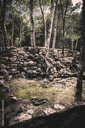 Coba Ruin  Mexico
