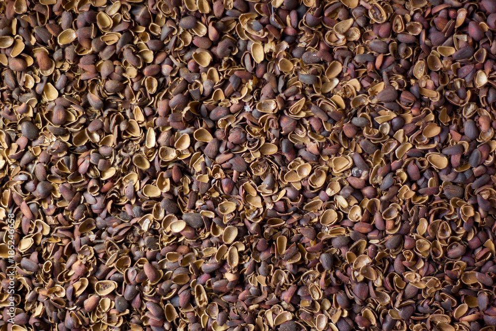 Broken pine nut shelters as background. Broken pine nut shelters as background.