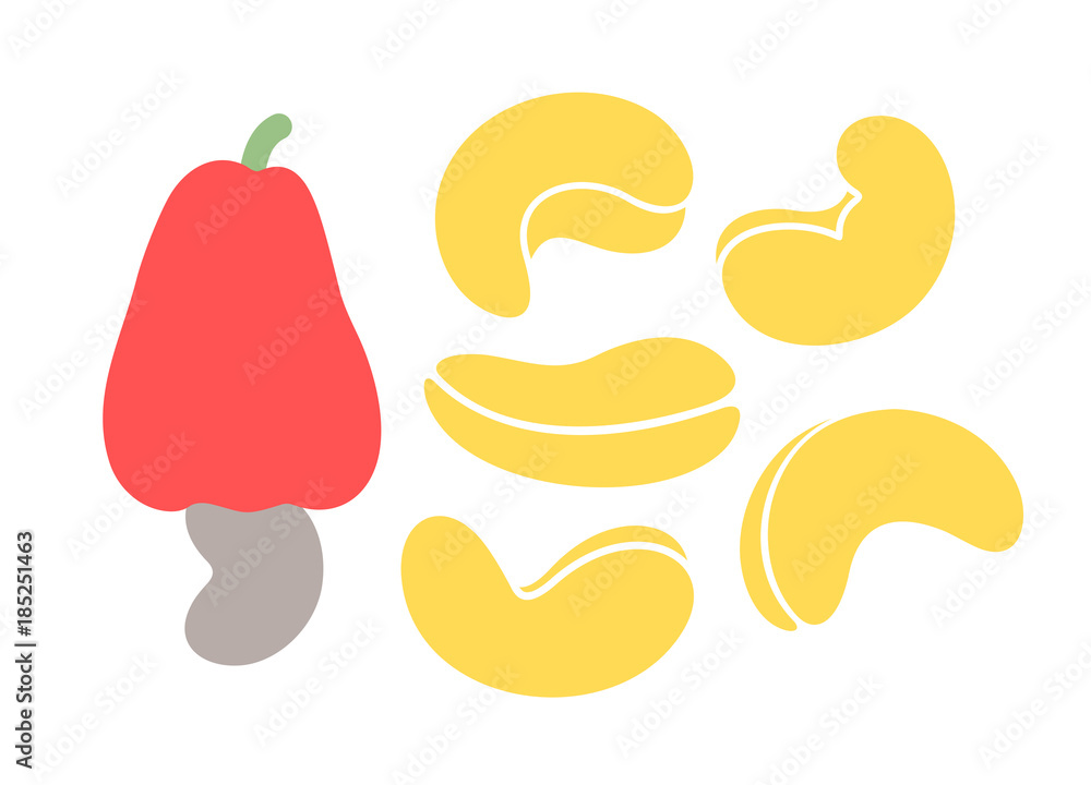 Cashew Vector