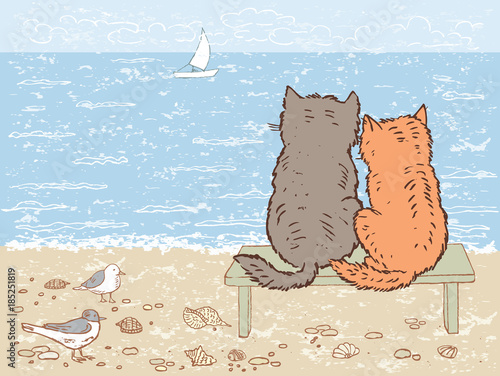 Two cats looking at the sea