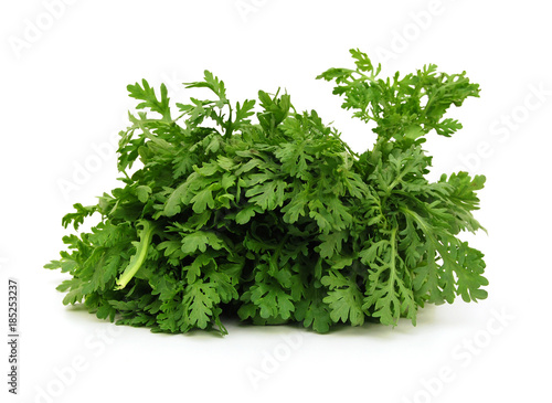 Shungiku also known as tong hao, or edible chrysanthemum, Isolated on white. A leaf herb commonly used in asian food.