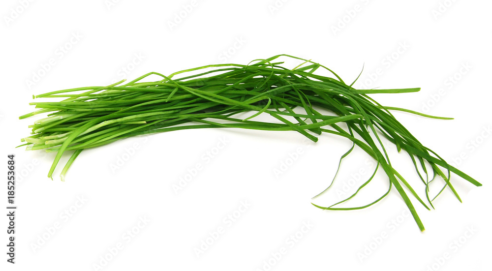 Fototapeta premium Grass plant on white 