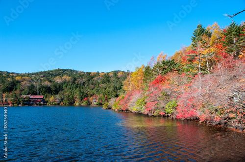 湖畔の紅葉
