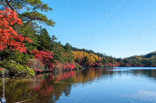 池の紅葉