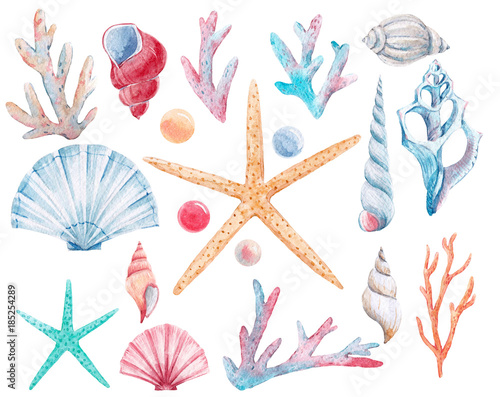 Obraz na płótnie Akwarela zestaw koralowców