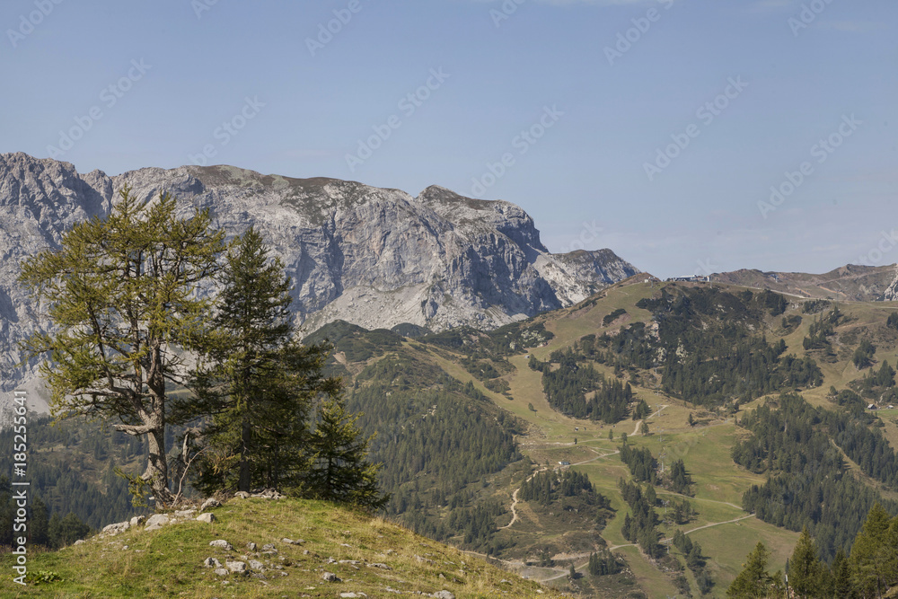Fototapeta premium Landschaft in Kärnten
