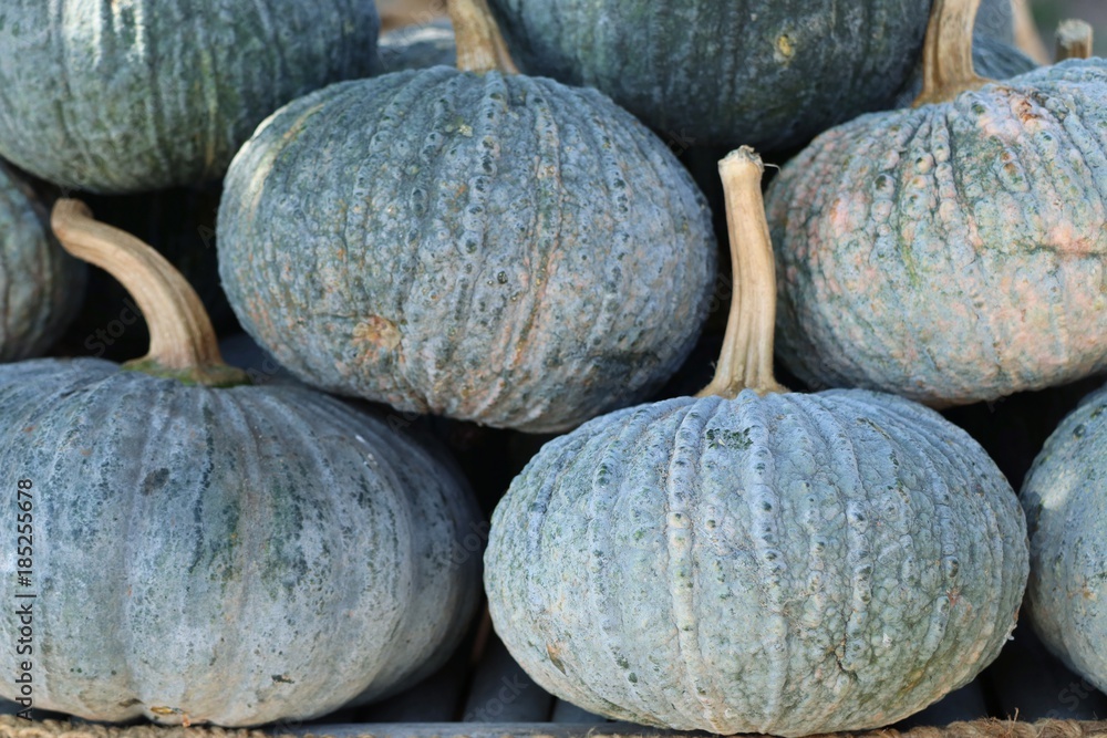 Pumpkin at street food Pumpkin at street food