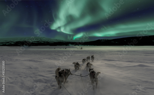 Christmas dogsled and Polarlight Norway