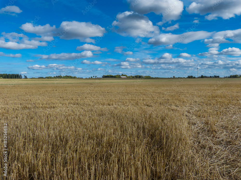 Field of cultivation