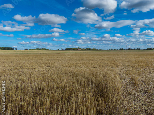 Field of cultivation