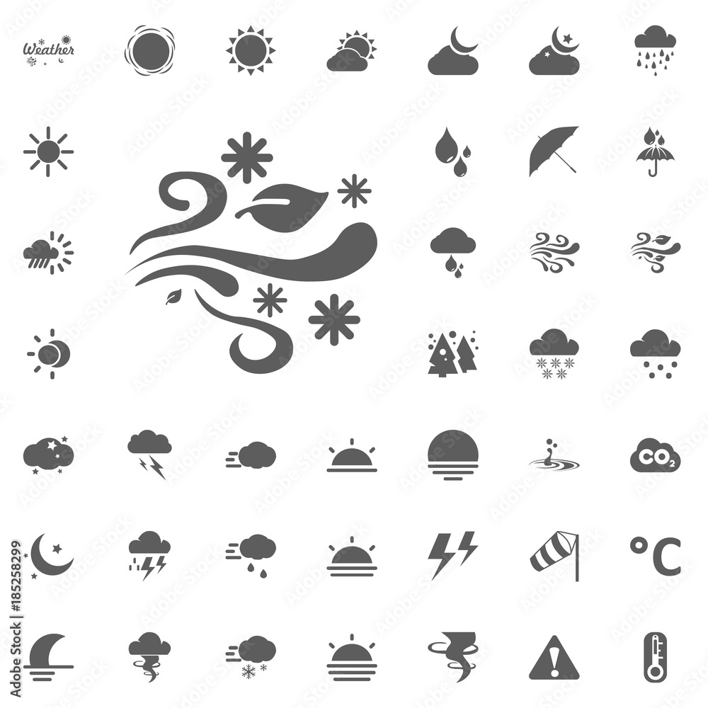 Naklejka premium Wind and snow flakes icon. Weather vector icons set