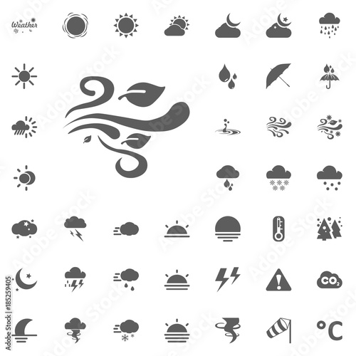Wind and leaves icon. Weather vector icons set