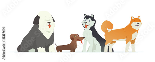 Cute dogs - modern vector cartoon characters illustration