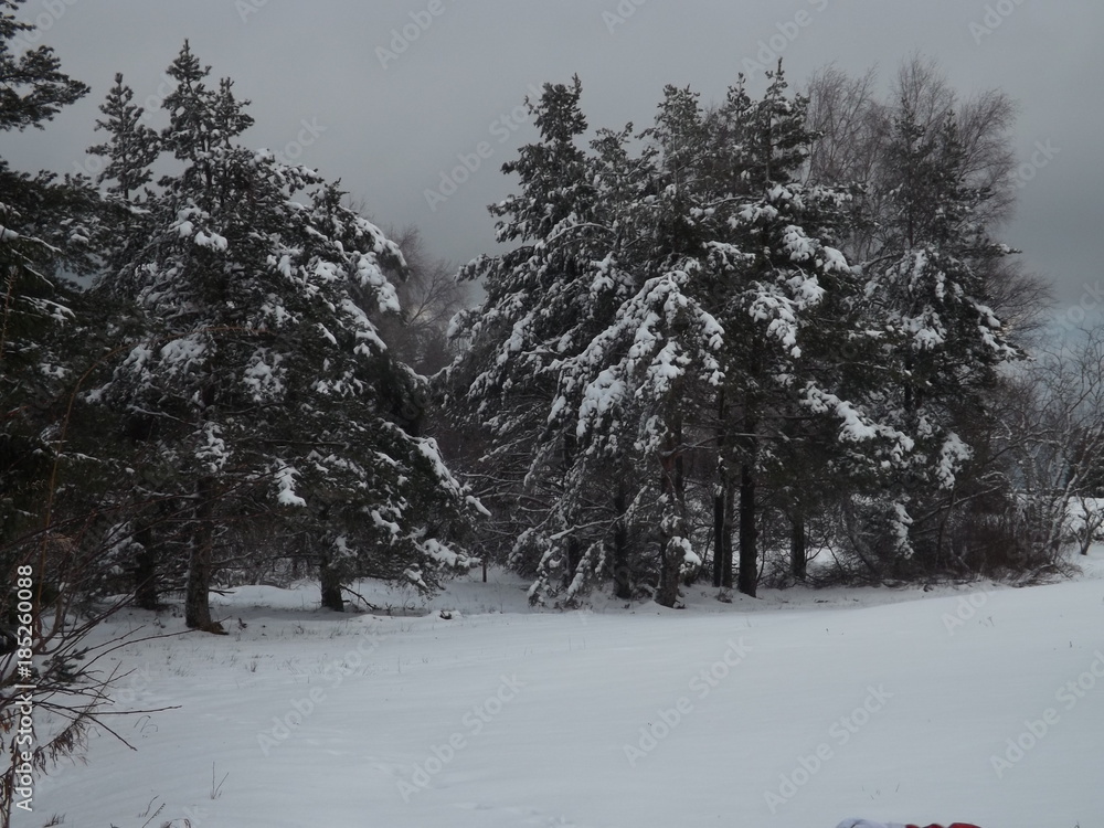 Obraz premium l'hiver 