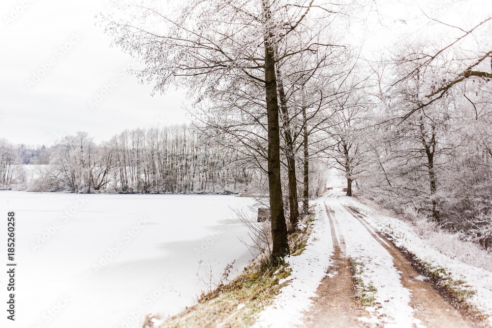 Fototapeta premium Winter countryside road in central Europe