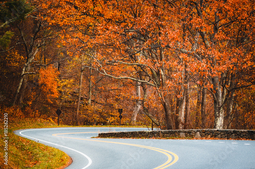 Skyline Drive during Fall Season. Shenandoah National Park photo