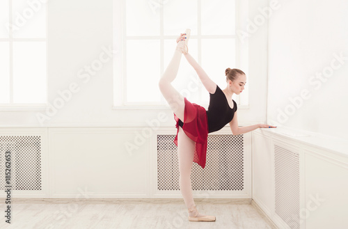 Beautiful ballerina dance on pointe