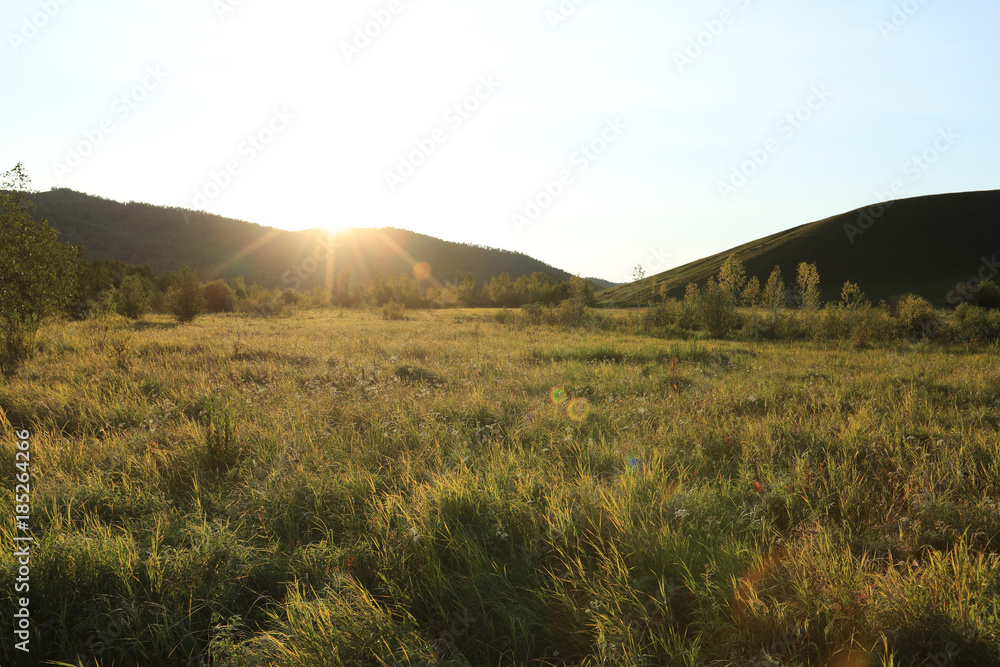 beautiful forest and grassland under sunset sky