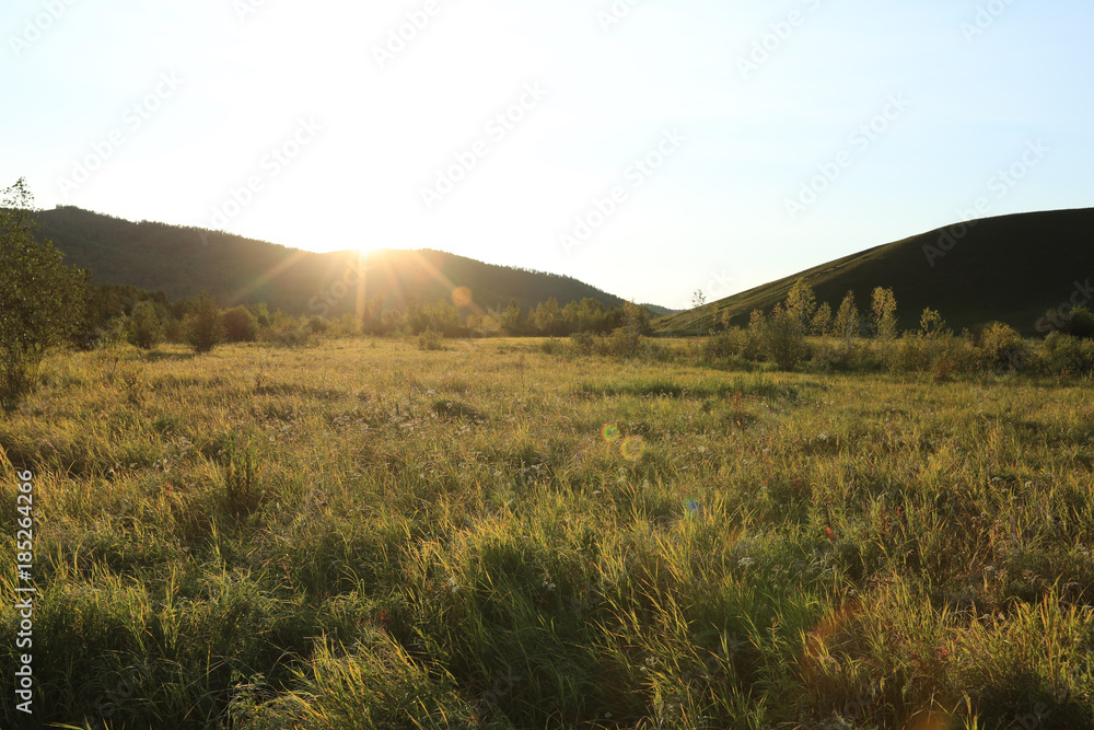 Fototapeta premium beautiful forest and grassland under sunset sky