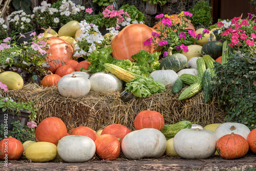 Pumpkins and gourds and Vegetables with flowers on display. Organic farm concept.