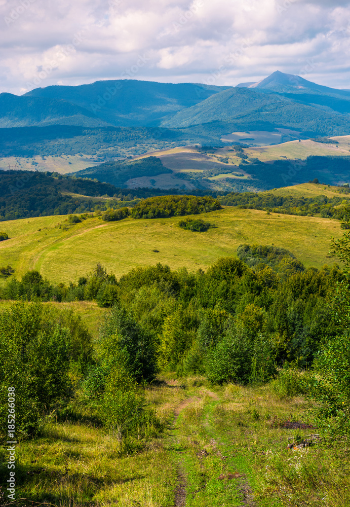 Fototapeta premium beautiful countryside of Crapathians in early autumn. forested hills and mountain ridge with high peak in the distance. lovely sunny weather with cloudy sky